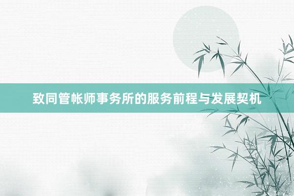 致同管帐师事务所的服务前程与发展契机