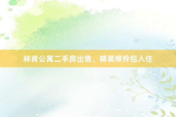 林肯公寓二手房出售，精装修拎包入住